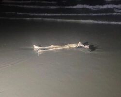 Female corpse found on Cambodian beach