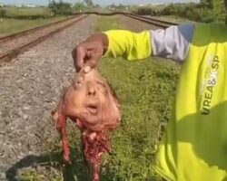 Indonesian woman torn apart by train