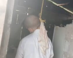 Man found hanged in wooden shelter