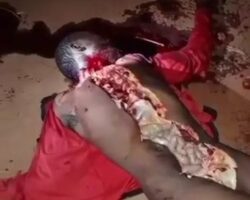 Man was left longitudinally cut opened with his genitals cut off