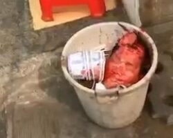 Owner of noodle restaurant beheaded by dissatisfied customers