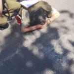 Police officer hit by thug on motorcycle