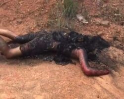 Released prisoner found decapitated and burned