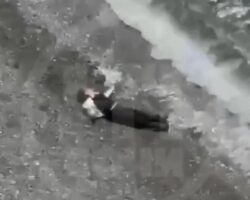 Russian woman dies after falling from viewing platform