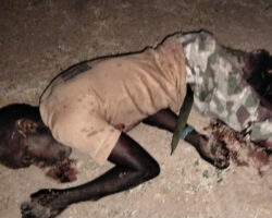 Terrorists from ISIS killed several Nigerian soldiers
