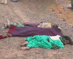 Whole family died in head-on collision with truck