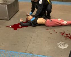 Woman gunned down during argument on subway platform