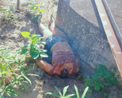 18-year-old girl beheaded by maniac