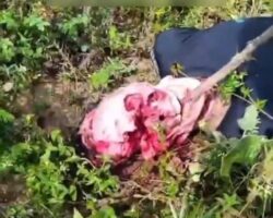 Body found with skinned face