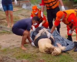 Corpse of man with disfigured face found floating in water