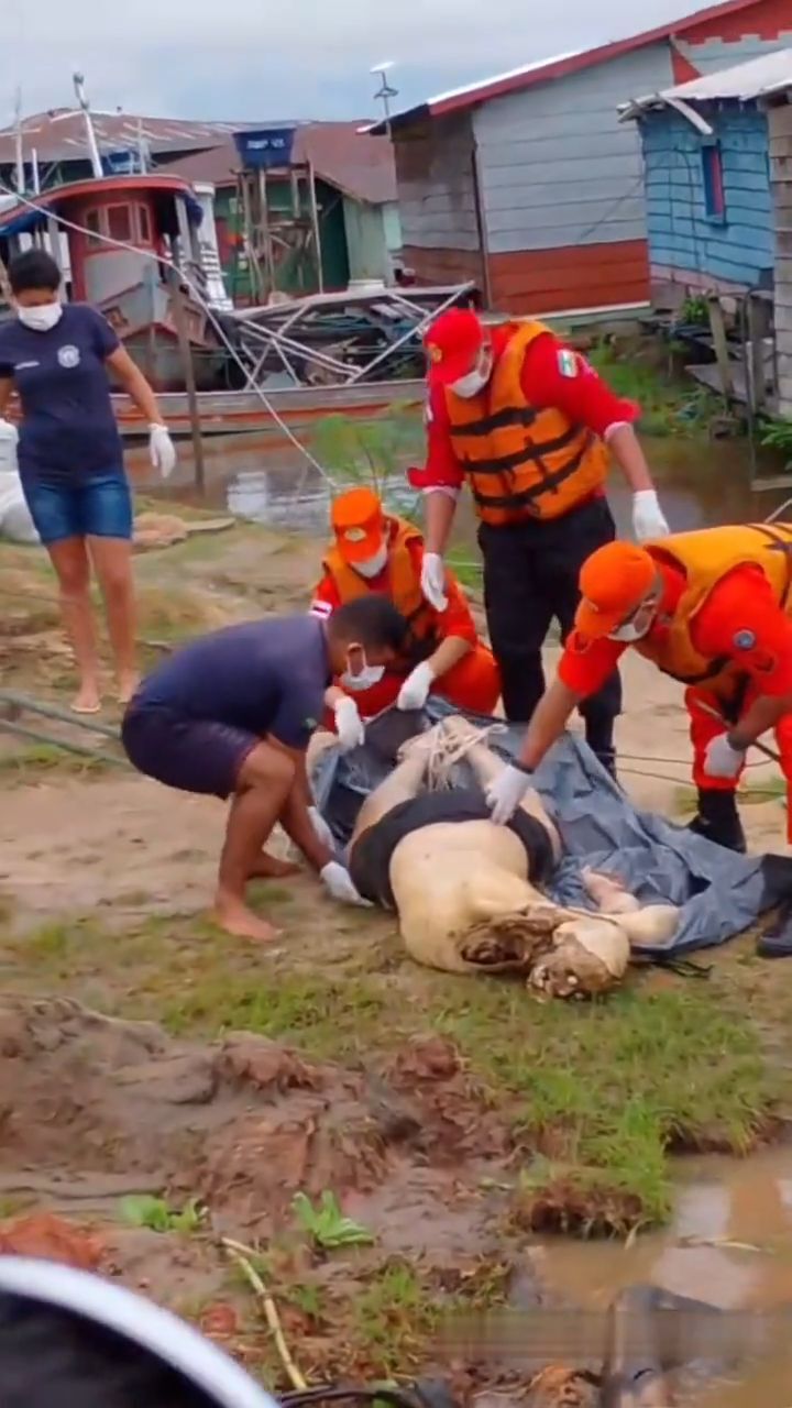 Corpse of man with disfigured face found floating in water • GoreCenter
