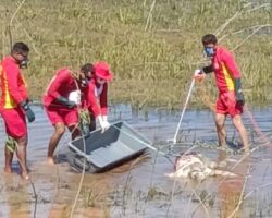 Dead female body found in São Francisco river