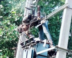 Electrician killed during transformer maintenance