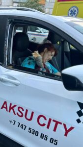 Female taxi passenger impaled by tree branch