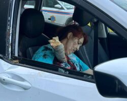 Female taxi passenger impaled by tree branch