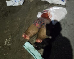 Gang members dismembered their rival dumped him on road