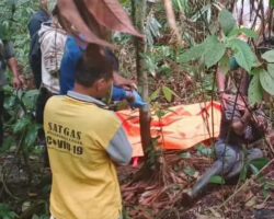 Headless male corpse discovered in Indonesian jungle