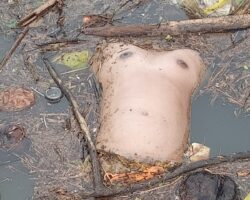 Horrifically mutilated woman found in river