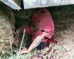 Indonesian separatists attack trans-Papua workers