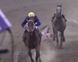 Jockey died in horse racing accident