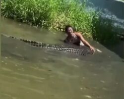 Man attacked by crocodile after mistaking it for statue