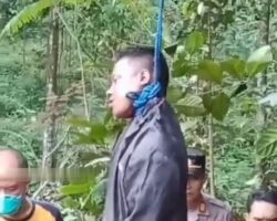 Man found hanged on tree in garden