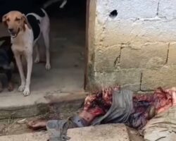 Old man found mutilated in yard of his house