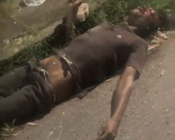 Shocked witnesses record murder victim