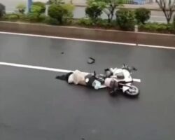Sleepy driver causes fatal traffic accident