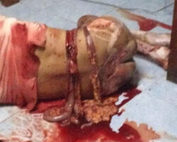 Thai man committed suicide in the traditional Japanese way