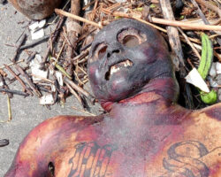 Tied male corpse washed up on shore