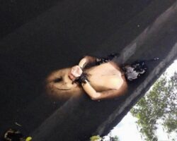 Tied naked female corpse found in water