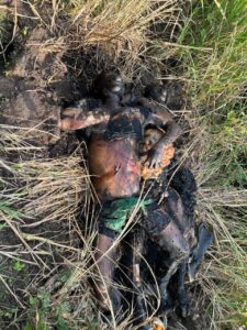 Two dead bodies found dumped by roadside