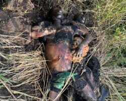 Two dead bodies found dumped by roadside