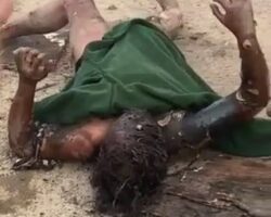 Woman accused of kidnapping children was burned alive