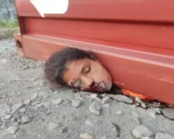 Woman crushed by shipping container