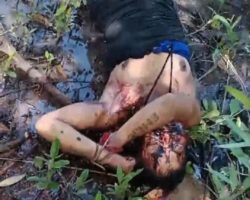 Woman found tied with her throat slit