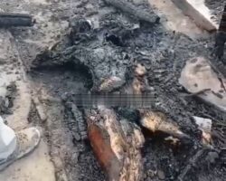 Woman lost her life in house fire