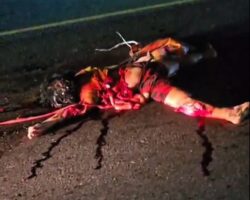 Woman lost her life in traffic accident