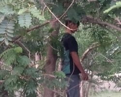 Young Cambodian man hanged himself in garden