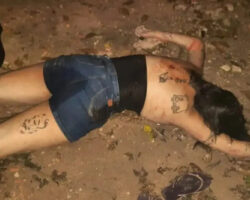 Young female criminal shot dead by police during car chase