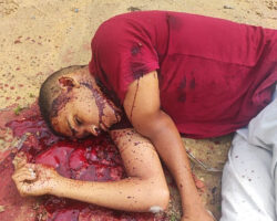 Young man murdered on rural road