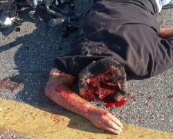 Young motorcyclist died in collision with truck
