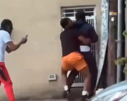 Brawl in Bronx ends in gunfire