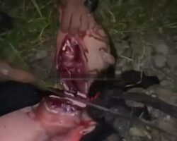 Cartel beheaded captive and threw his head onto street 2
