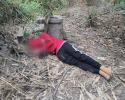 Chinese man found strangled in forest