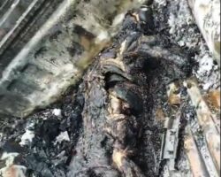 Corpse found in bed of burned-out pickup truck