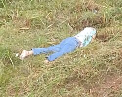 Dead body of man found under highway bridge