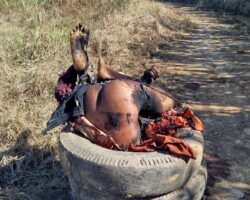 Dead man found stuffed inside tires