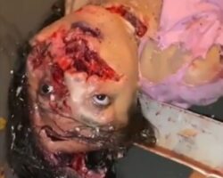 Deadly consequences of motorcycle and car collision